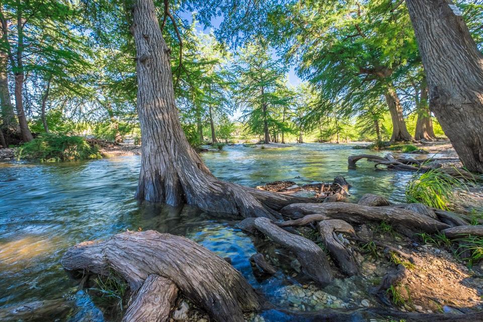 River Bluff Cabins Rio Frio Zewnętrze zdjęcie